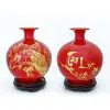 binh hut tai loc chim cong do