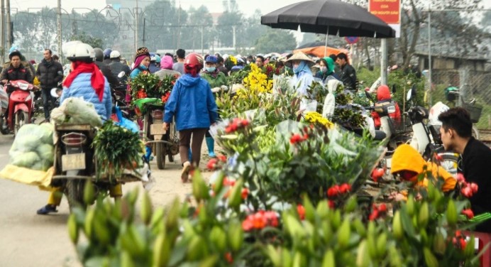 Top 5 điểm bán chậu sứ trồng cây cảnh dịp tết ở Hà Nội 1 chau cay canh