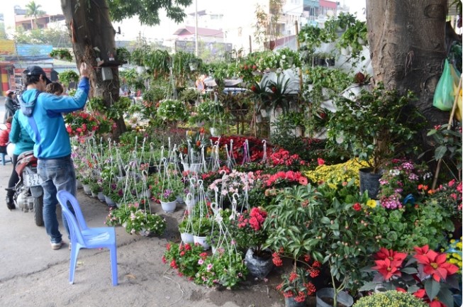 Top 5 điểm bán chậu sứ trồng cây cảnh dịp tết ở Hà Nội 3 chau trong cay canh dep