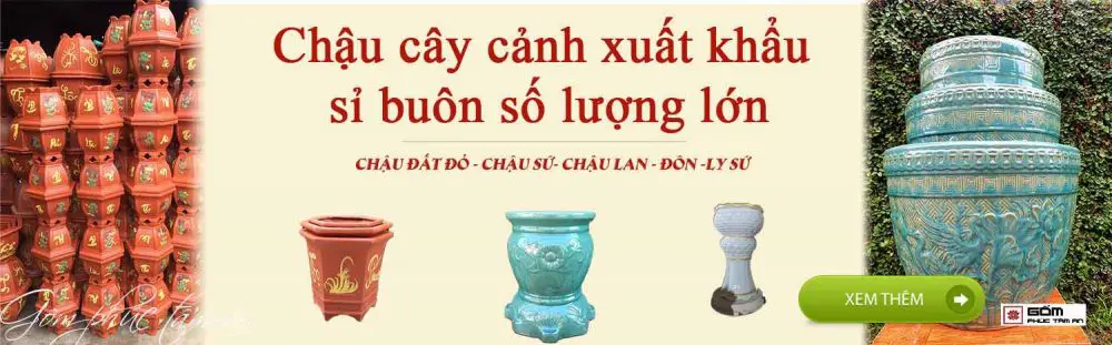 Xưởng gốm sứ Gốm Phúc Tâm An - Bát Tràng Uy Tín 11 chau cay canh xuat khau